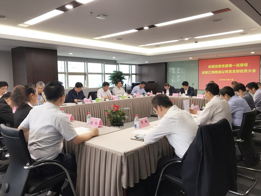 省国资委党委第一巡察组巡察JXF吉祥坊官网公司党支部动员大会召开